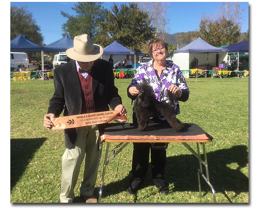 Belle Runner Up Best in Group