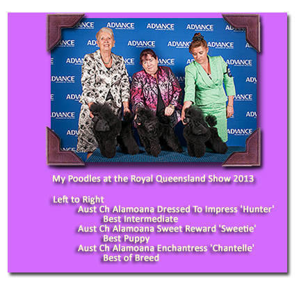 Royal Queensland 2013