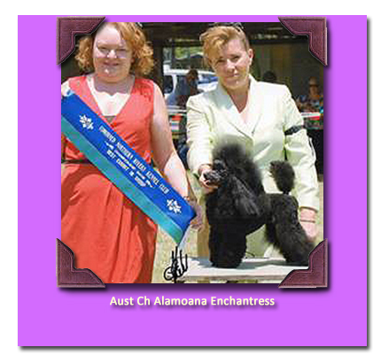 Ch Alamoana Enchantress