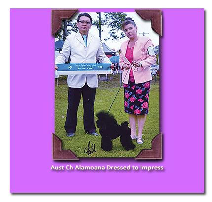 Ch Alamoana Dressed to Impress