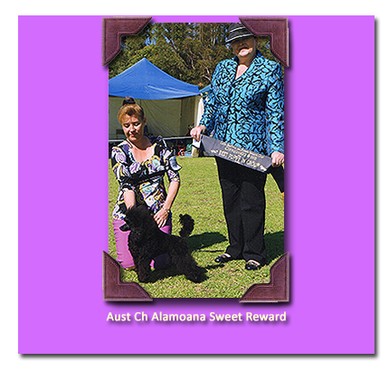 Ch Alamoana Sweet Reward