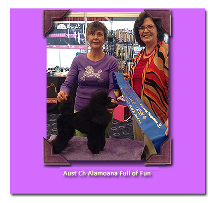 Ch Alamoana Full of Fun