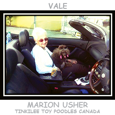 Vale Marion